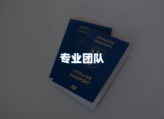 专业团队